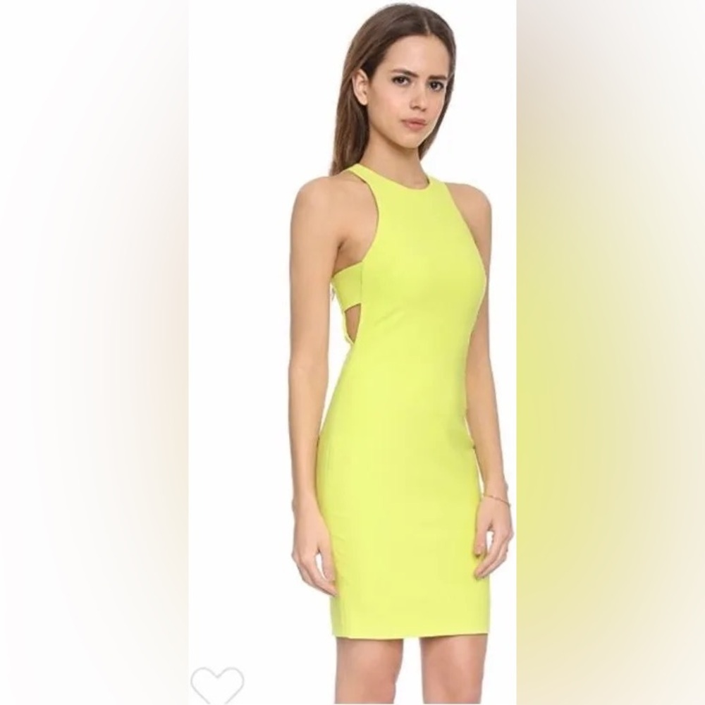 Elizabeth and James Oriana Dress Size 10 - NWT